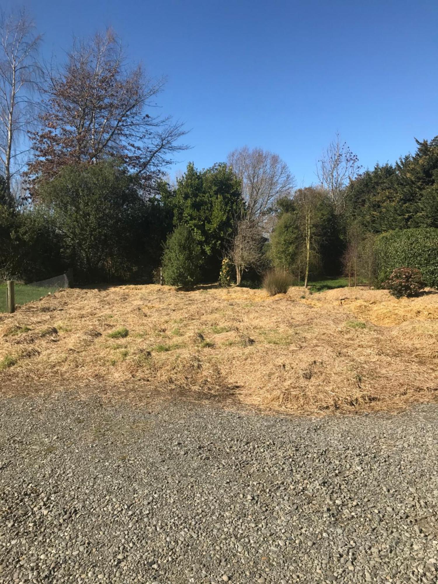Brookside Country Escape 40 Minutes To Chc Airport Hotel Leeston Bagian luar foto